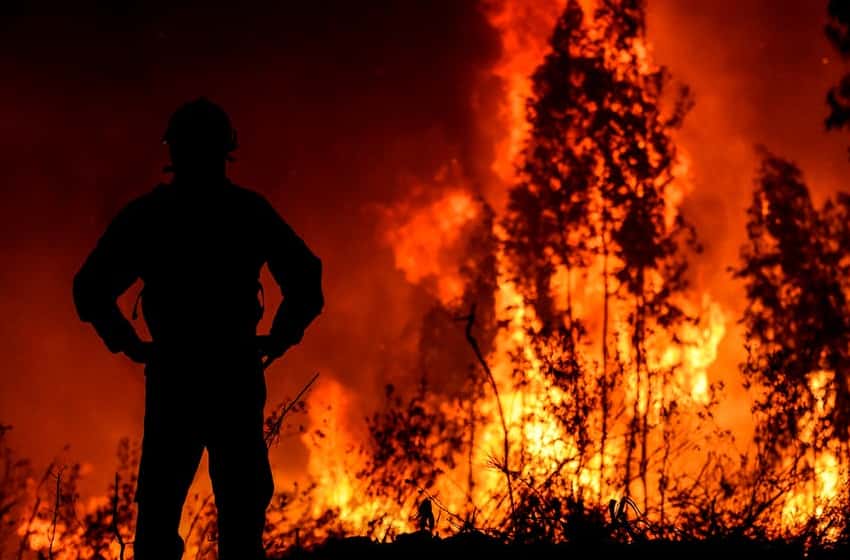 Portugal: más de mil bomberos luchan contra un incendio forestal