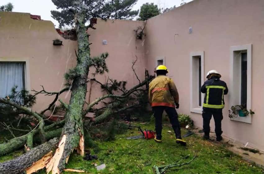 Un árbol cayó sobre una vivienda en Sierra de Los Padres