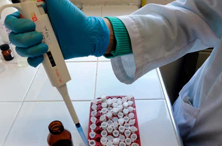 Más de 6000 casos de coronavirus confirmados en un día en Argentina