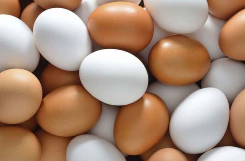 El huevo, ¿sinónimo de colesterol?