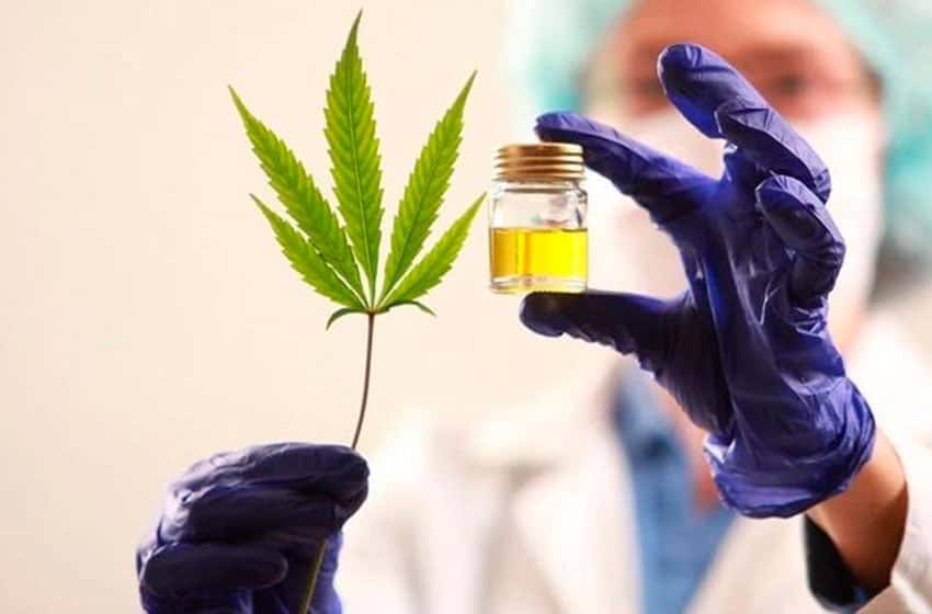 Cannabis: “La nueva reglamentación nos permitirá investigar sin trabas"