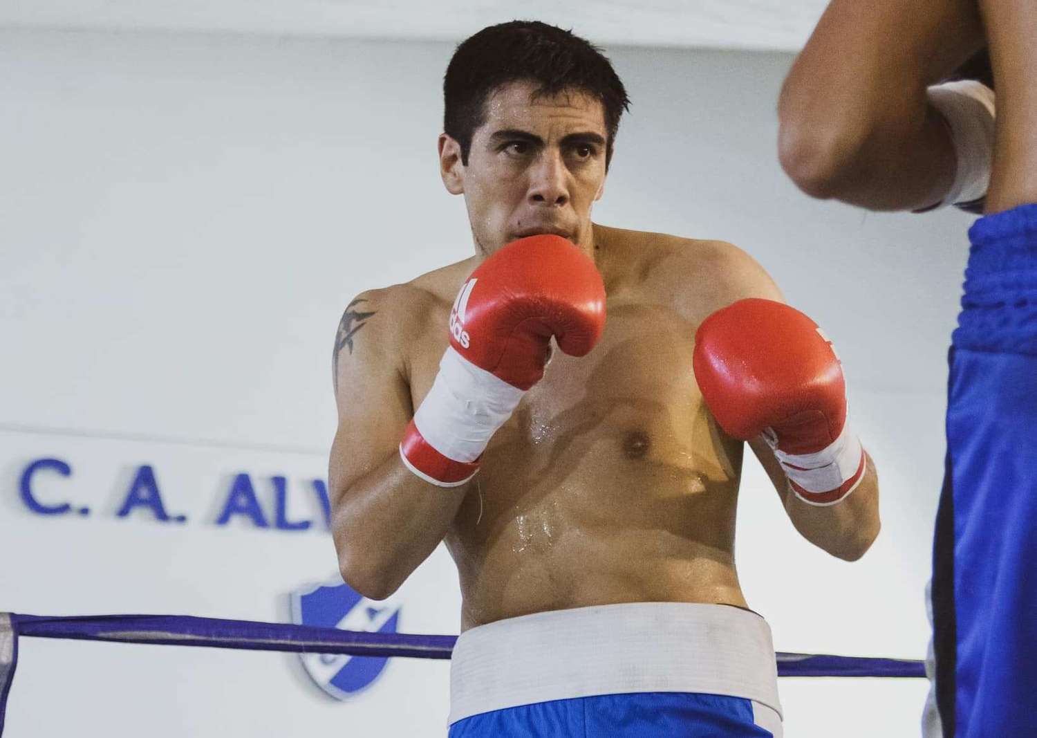 Rojas y Lorenzo pelean este sábado en el Casino Buenos Aires