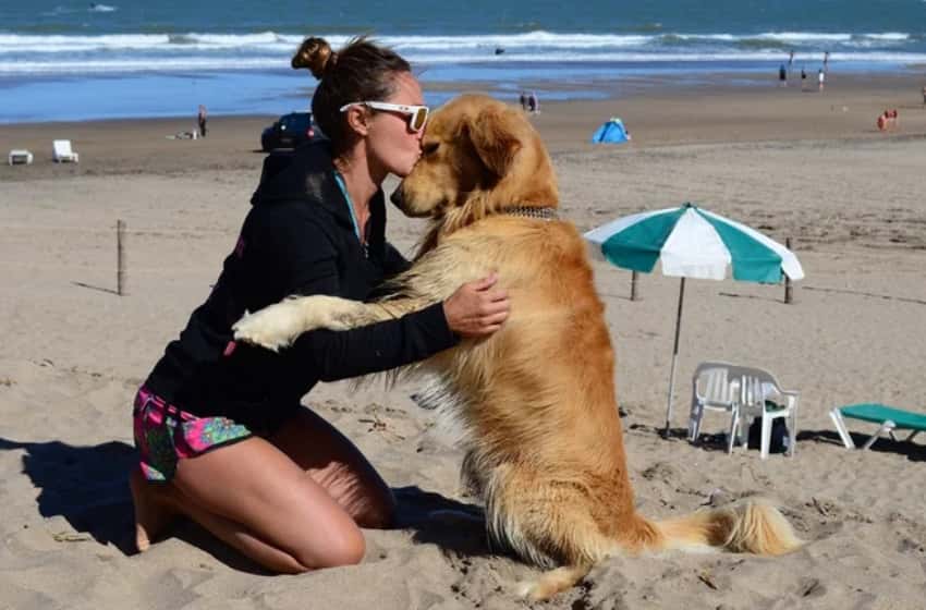 Mar del Plata es la ciudad argentina con mayor cantidad de perros