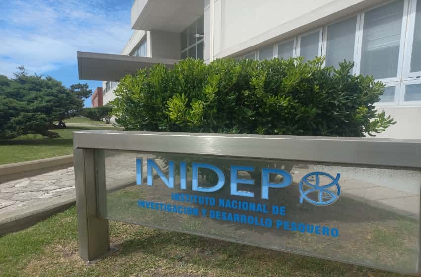 Trabajadores del INIDEP denuncian que no cobran desde diciembre