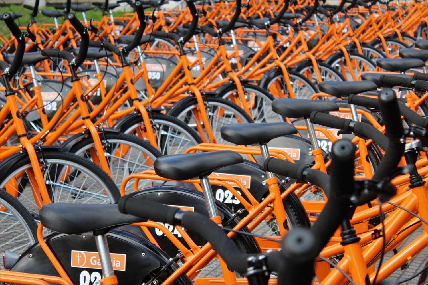 Continuará el préstamo de bicicletas en la Universidad de Mar del Plata