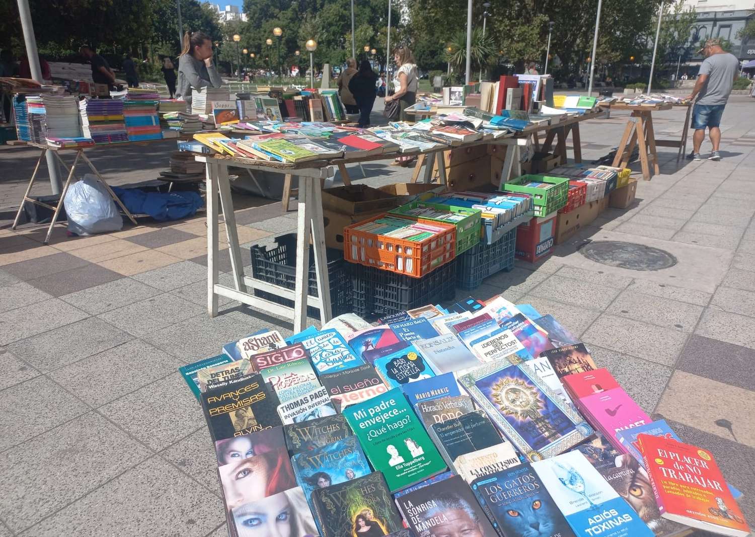Feria de libros usados, una opción en la vuelta a clases