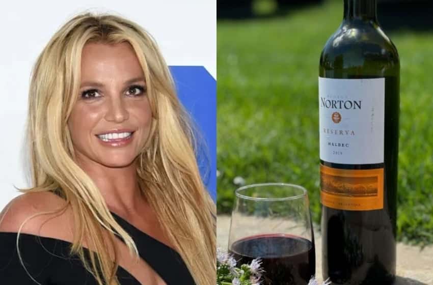 Britney Spears elogió un vino argentino y aseguró que "se siente extremadamente bien”