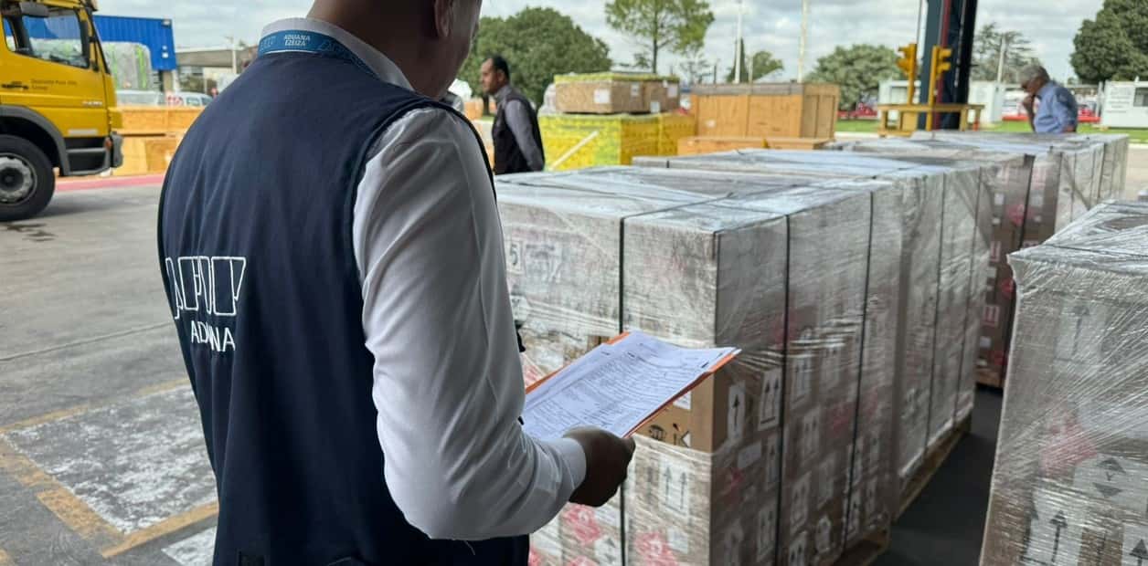 Llegó el primer cargamento de repelentes importados para prevenir el dengue: por qué no estarán a la venta