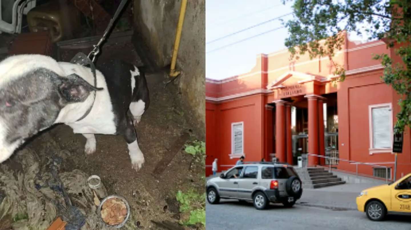 Córdoba: Encontraron a un hombre con los genitales amputados