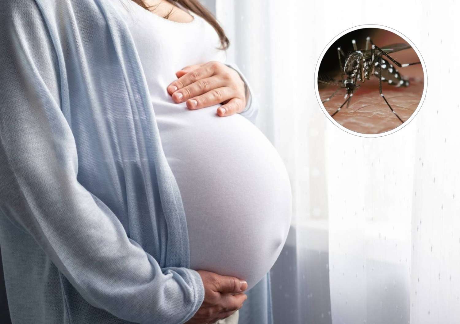 Dengue: ¿qué recaudos deben tener las embarazadas?