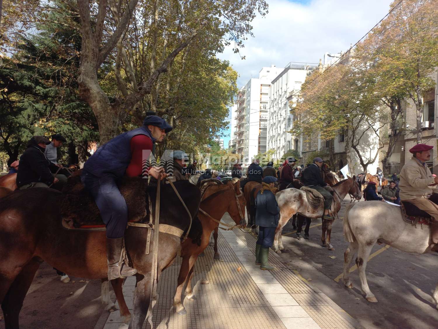 Vecinos de Mar del Plata denuncian que creció la inseguridad y el robo de caballos
