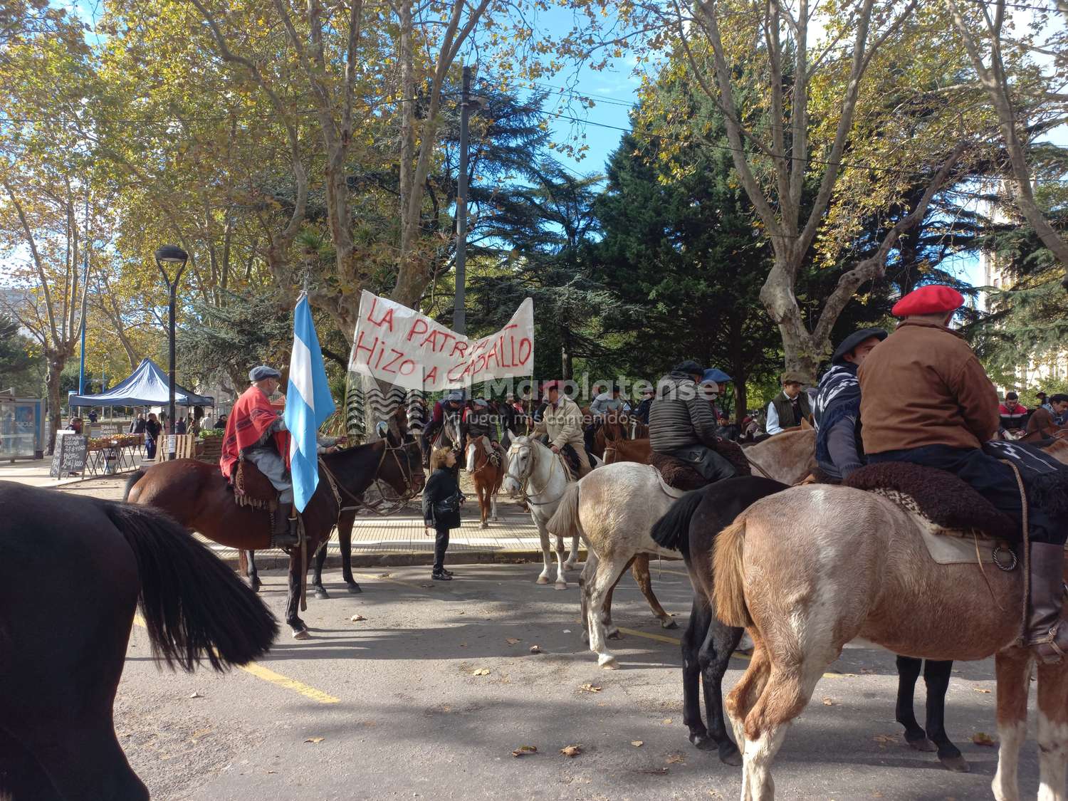 La ruta del caballo: desaparecieron 130 animales y denuncian un mercado negro