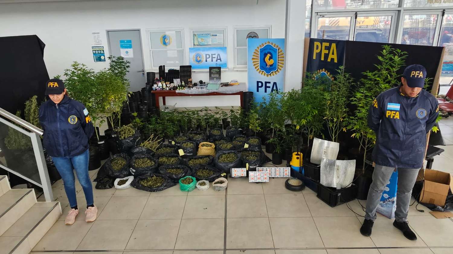 Policía Federal desmanteló una plantación ilegal de marihuana en Mar del Plata