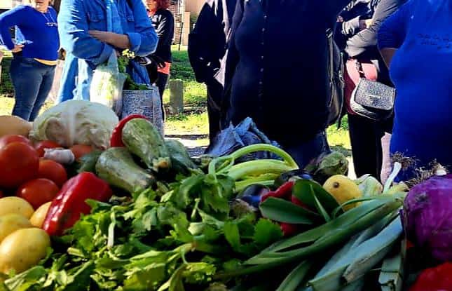 Se realizó en Tandil una exitosa jornada del mercado alimenticio barrial