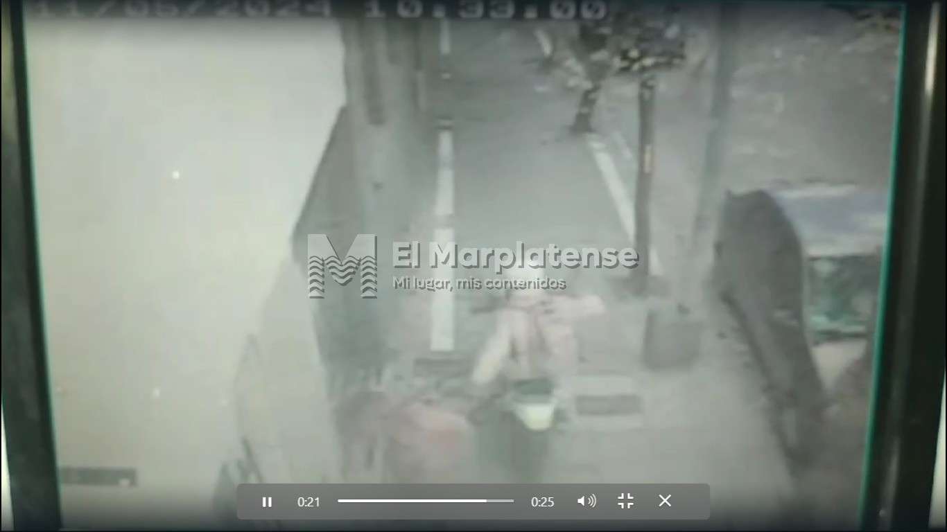 Video: violento intento de robo en La Perla