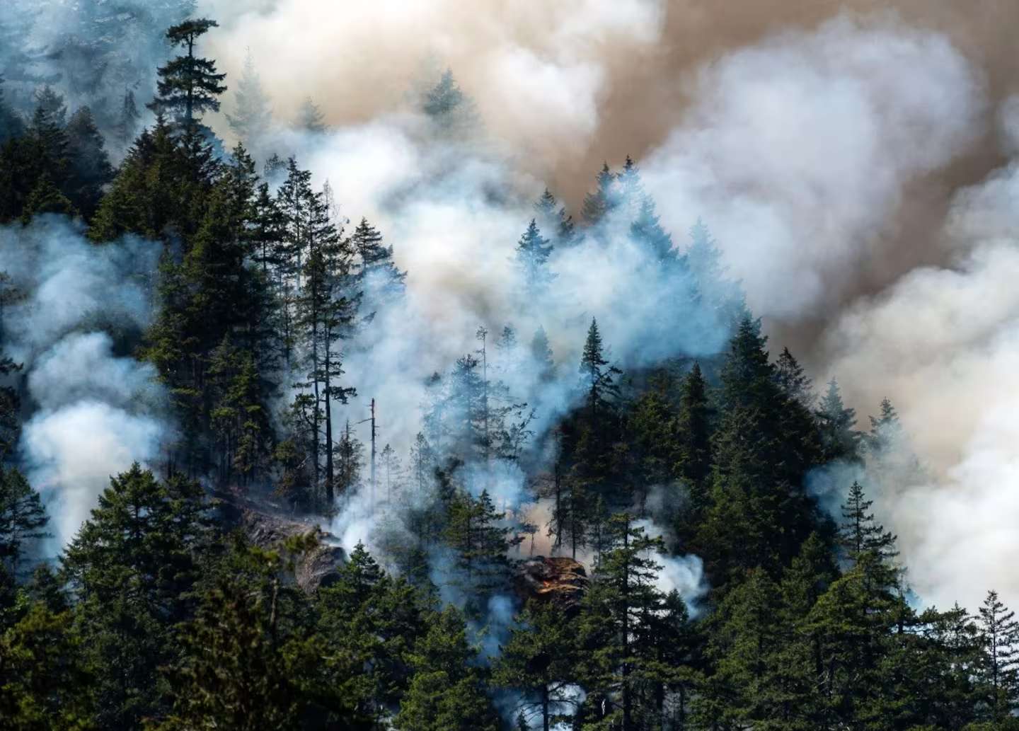 Evacuaron una cárcel de máxima seguridad en Canadá por el avance de los incendios forestales
