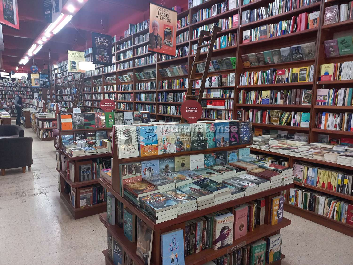 Caída en la ventas de libros: ¿Los marplatenses ya no leen?