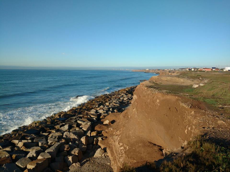 Mar del Plata, un yacimiento paleontológico único en Sudamérica