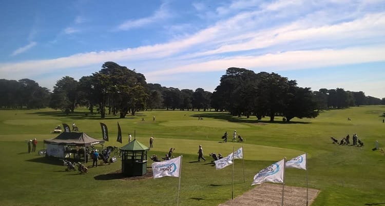 Un fin de semana a puro golf en Mar del Plata