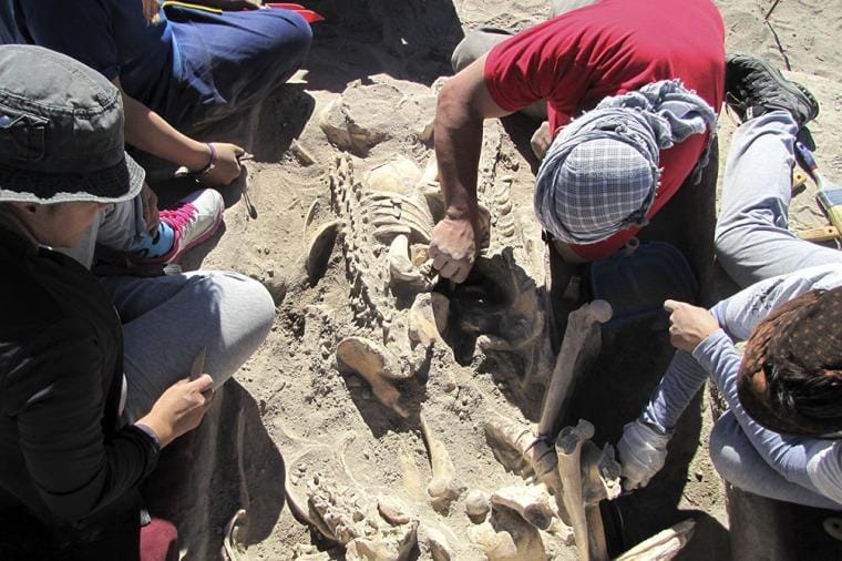 Encuentran en Mendoza un cementerio indígena de más de mil años