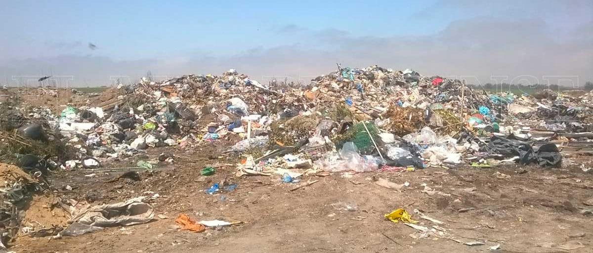 Recuperadores sólo reciclan un 20% de la basura