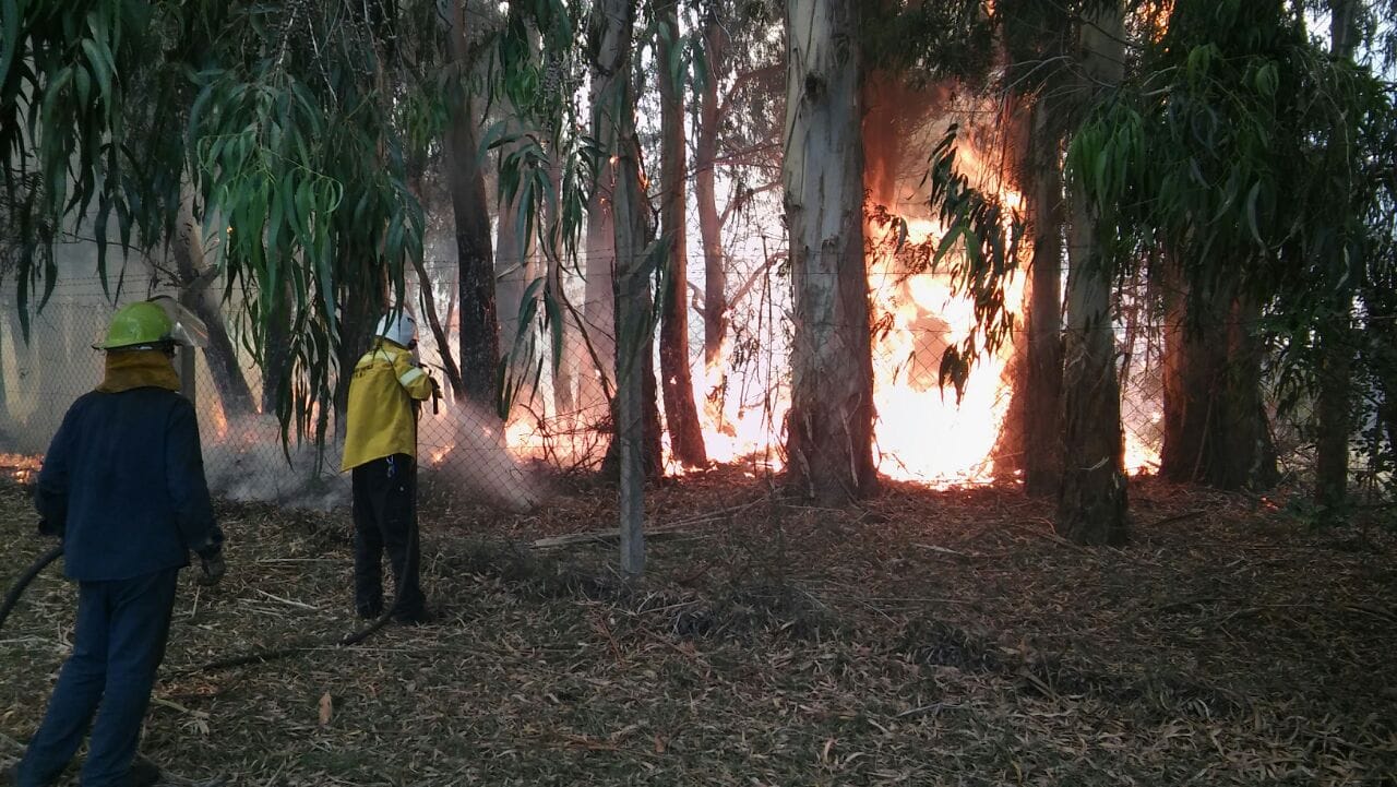 Un incendio destruyó mil hectáreas de campo en Balcarce