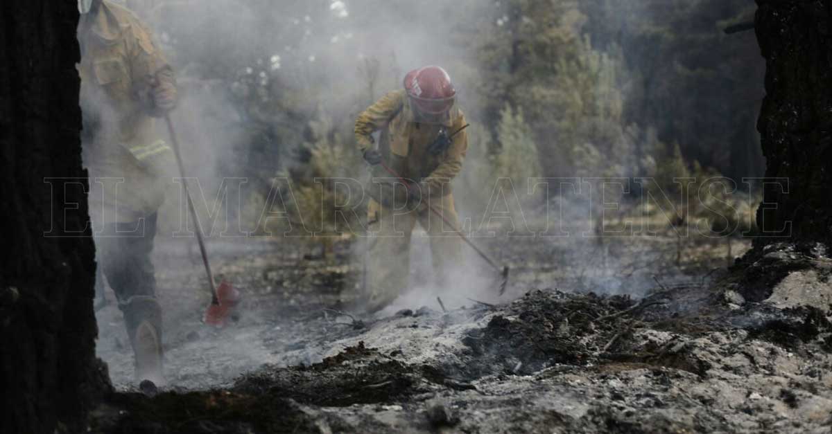 Valeria del Mar: ya son 50 las hectáreas comprometidas por el incendio