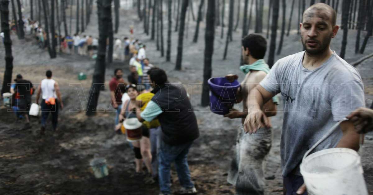 Valeria del Mar: el fuego afectó el 70% de la reserva forestal