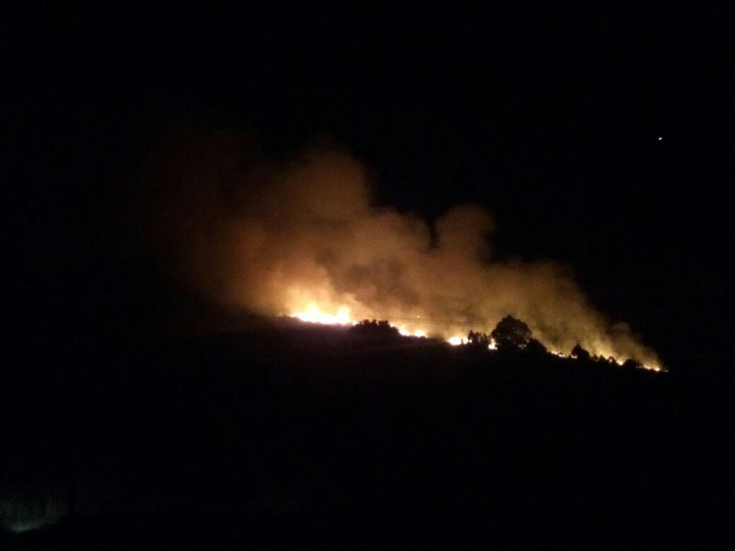 Importante incendio forestal en cercanías de Sierra de los Padres