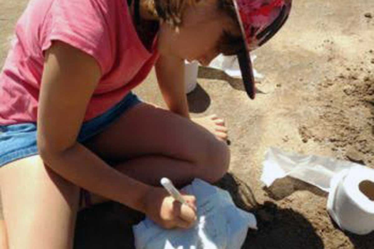 Una niña descubrió restos fósiles en la playa