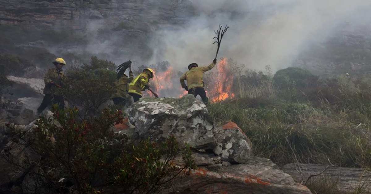 Sierra El Volcán: Bomberos esperan poder extinguir el fuego a la tarde