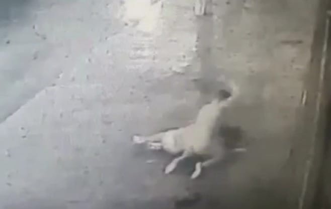 Salvaje golpiza de un hombre desnudo a una mujer en plena calle