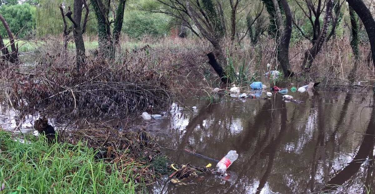 La falta de limpieza del Arroyo Corrientes vuelve a alarmar a la zona sur