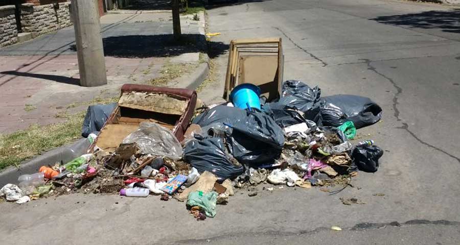 Constitución: sacan fotos para detectar a quienes tiran basura en la calle