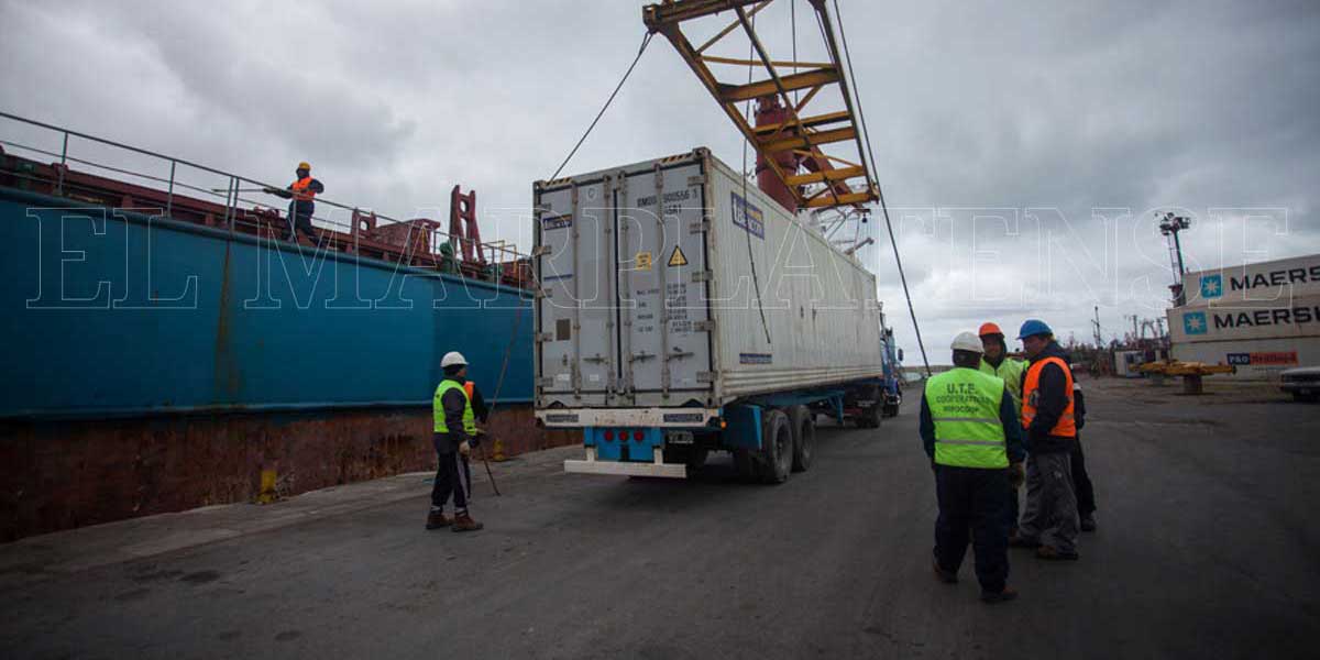 Las exportaciones por el Puerto local se duplicaron en el primer semestre