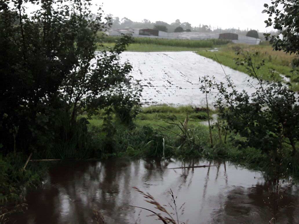 Cordón Frutihortícola: hay tres mil hectáreas afectadas tras el temporal
