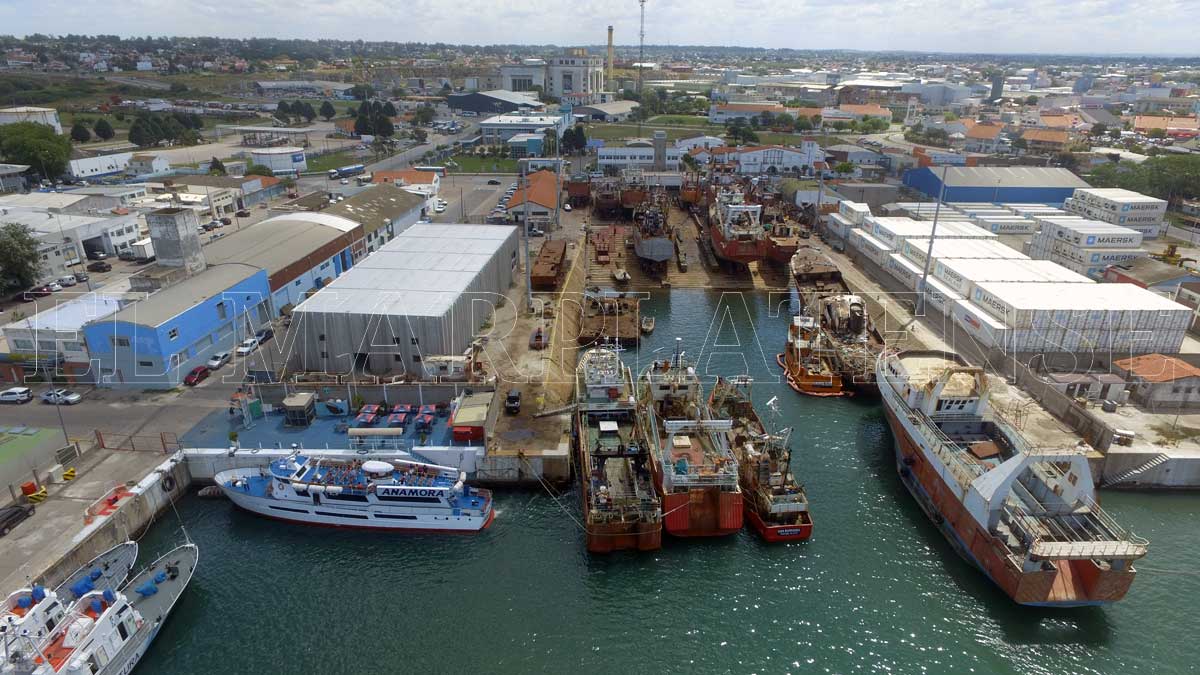 Se radicarán nuevas empresas en el Puerto de Mar del Plata