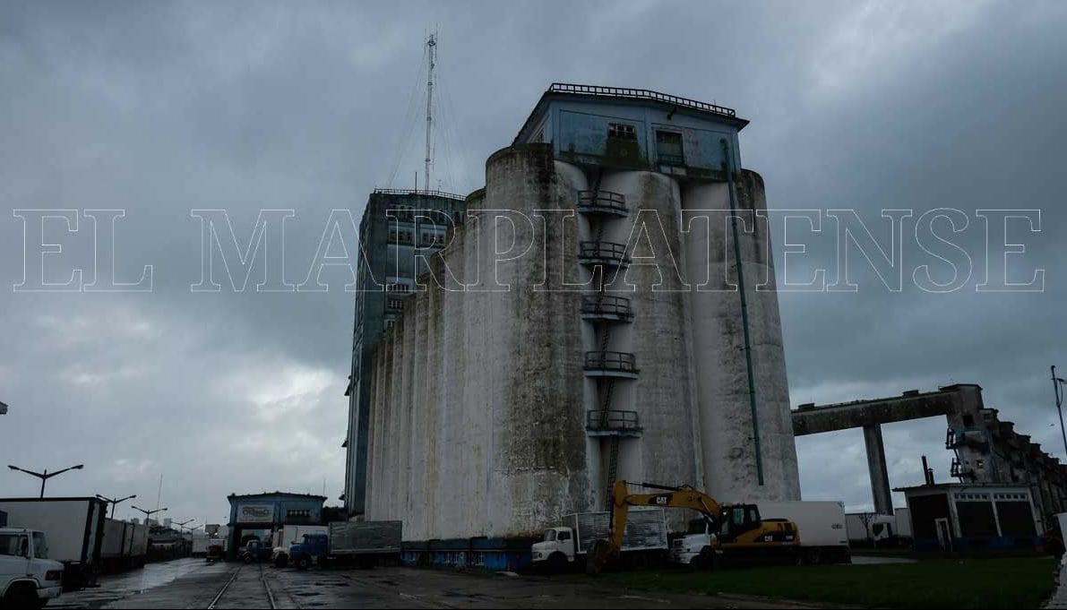 Avanza el proceso de restitución de los silos del Puerto