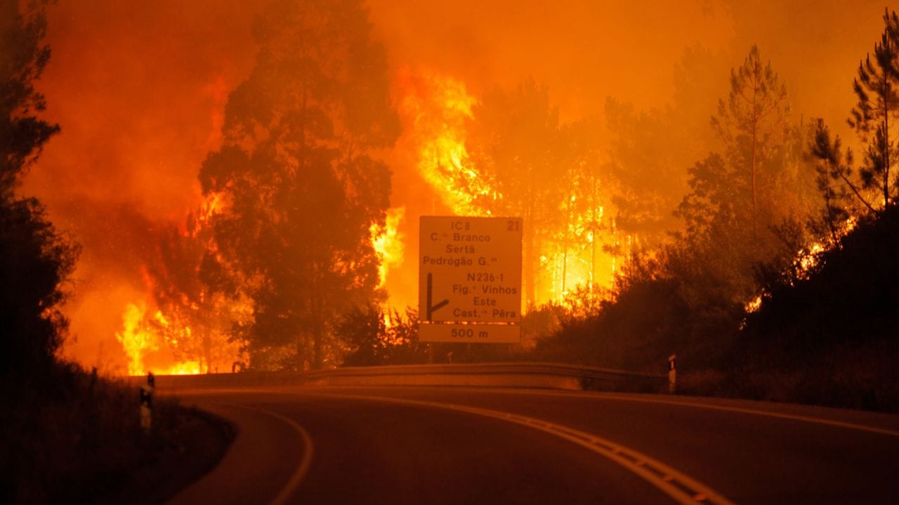 Portugal: al menos 62 muertos en un voraz incendio forestal