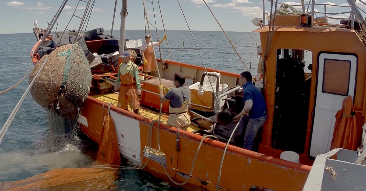 “Legado del Mar”, filme que narra la odisea de navegar en la Patagonia
