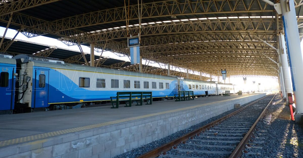 Analizan agregar un tren directo entre Mar del Plata y Buenos Aires