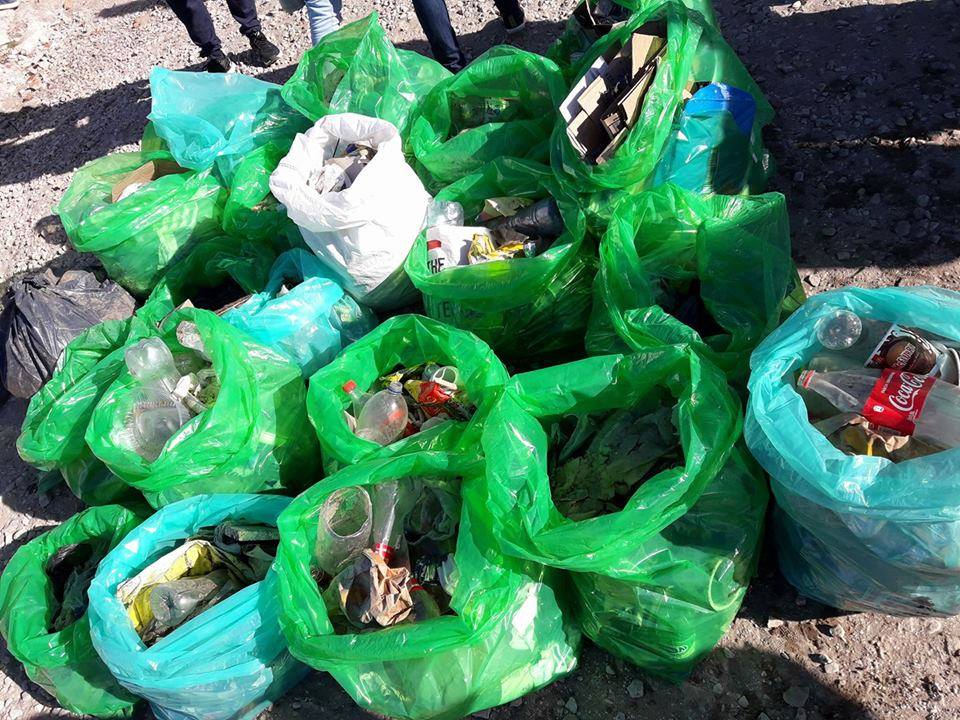 Playas limpias: organizaciones juntaron 107 kilos de basura plástica