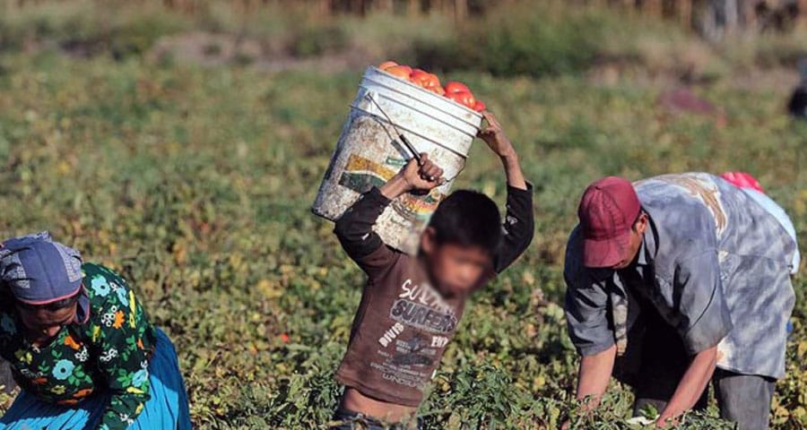 Trabajo infantil: "Se están viendo cosas muy lamentables en la ciudad"