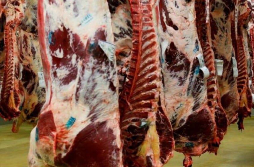 China autorizó el ingreso de todo tipo de cortes de carne argentina