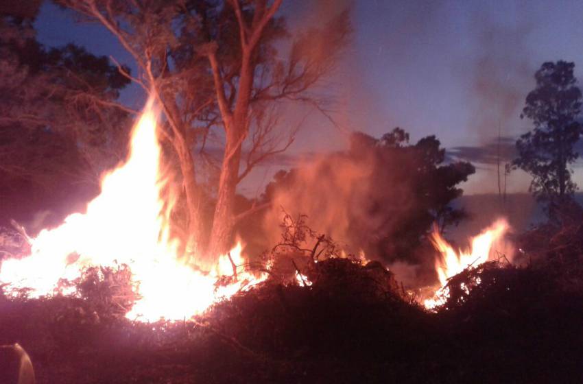 Colina Alegre: responsabilizan al Municipio por reiterados incendios