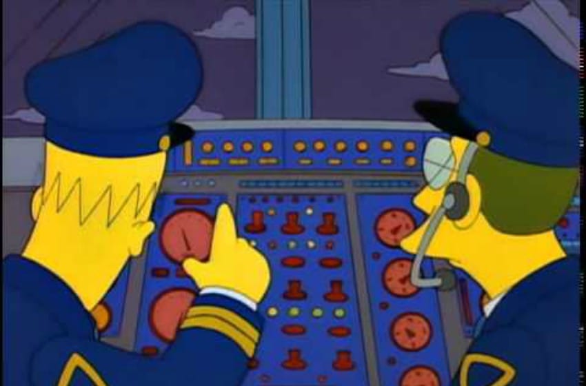 "Homero Simpson" se subió a un vuelo en Argentina
