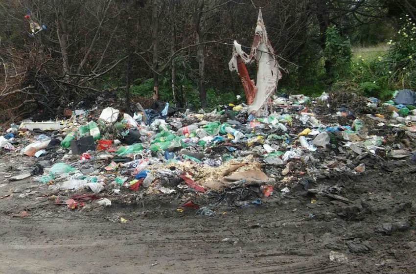 Arroyo busca secuestrar vehículos por arrojar residuos en la calle