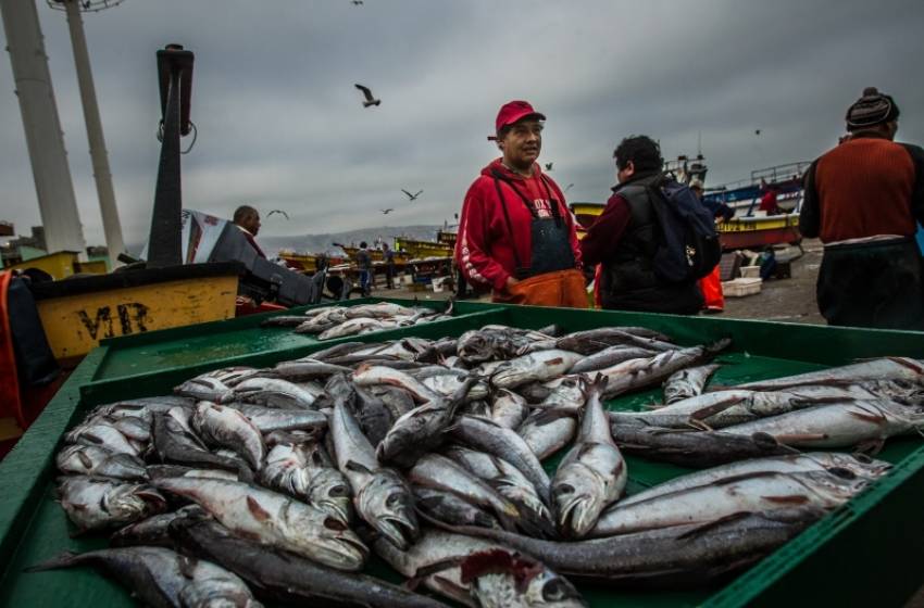 Pesca: "El trabajo en tierra está en una meseta que no despega"