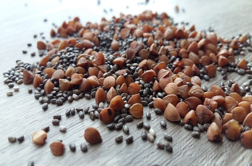 10 razones para incorporar semillas a tu alimentación