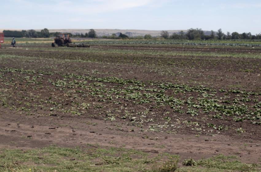 Schiavoni, sobre el proyecto de ley: “Busca aliviar a los productores ante la sequía”